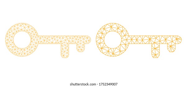 Polygonal vector key icon. Mesh carcass key image in low poly style with combined triangles, nodes and lines. Mesh concept of triangulated key, on a white background.