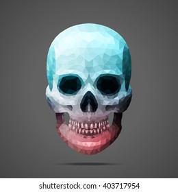 Polygonal vector skull. Gradient Rose Quartz - Limpet Shell. Side light source.