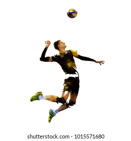 5,167 Volleyball passing Images, Stock Photos & Vectors | Shutterstock