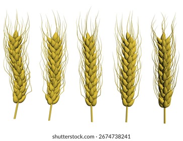 Polygonal wheat set with four realistic ears on a white background, rendered in clean clipart style.