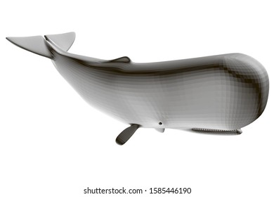 Polygonal white whale isolated on a white background. 3D. Vector illustration