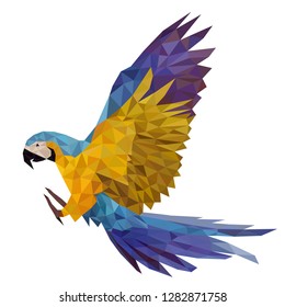 Polygonal wild blue parrot