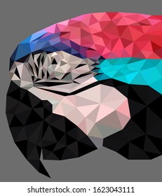 Polygonal wild blue and red parrot