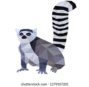 Polygonal wild lemur