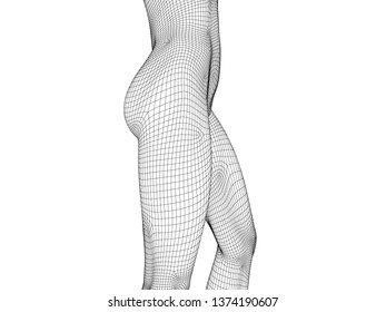 Polygonal wireframe girl. Side view. Nude slim girl. 3D