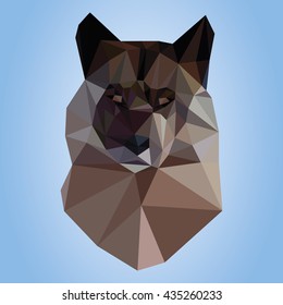 Polygonal wolf on blue background