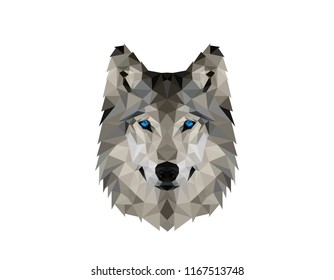 Polygonal Wolv Head Logo Design Illustration