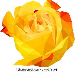 mehrfarbige gelbe Rose, Polygonblume, einzelne Vektorgrafik