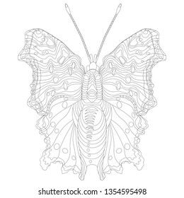Polygonia c-album - vector hand drawn B&W illustration