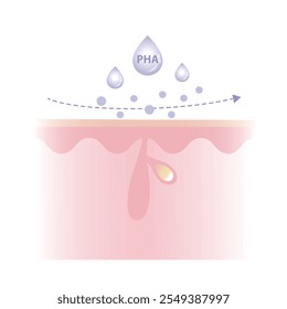 Polyhydroxy Acids characteristics vector illustration on white background. PHA work on the surface skin to exfoliate, large molecule, penetrate less, suitable for sensitive skin and water soluble.