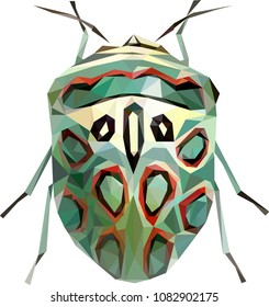 Polynomial picasso bug, Zulu hud bug illustration, picasso-bug vector draw, low poly beetle, Zulu hud bug from triangles
