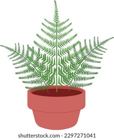 Ilustración De Una Planta De Polipodiófita