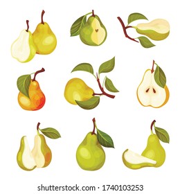 Pomaceous Pear Fruit with Upper End of Flower Stalk and Green Fibrous Leaf Vector Set
