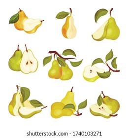 Pomaceous Pear Fruit with Upper End of Flower Stalk and Green Fibrous Leaf Vector Set