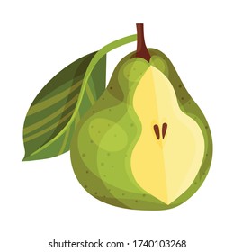 Fruta Pomácea Pear con talla superior de flor e Ilustración de vectores de hojas fibrosas verdes