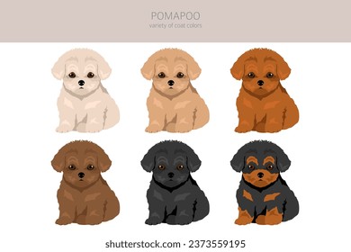 Pomapoo clipart. Pomeranian Poodle mix. Different coat colors set.  Vector illustration