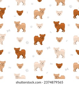 Pomapoo seamless pattern. Pomeranian Poodle mix. Different coat colors set.  Vector illustration