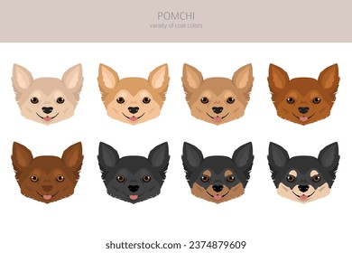 Clíparte de Pomchi. Mezcla de Chihuahua Pomerania. Colores de abrigo diferentes.  Ilustración del vector