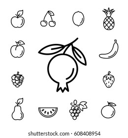 pomegranat garnet fruit with leaf line icons set black on white