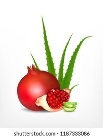 Pomegranate and aloe. Vector icon. EPS10