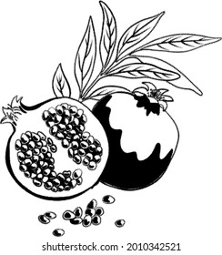 Pomegranate apple. Black outline. Vector.