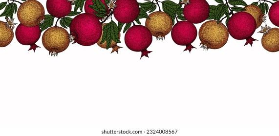 Pomegranate banner. Pomegranate plant branch with fruits. Vintage Pomegranates border. Hand drawn ink style fruit background. Pomegranate tree, ripe fruit. Rosh hashanah print. Textile, fabric texture