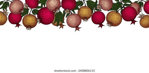 Pomegranate banner. Pomegranate plant branch with fruits. Vintage Pomegranates border. Hand drawn ink style fruit background. Pomegranate tree, ripe fruit. Rosh hashanah print. Textile, fabric texture