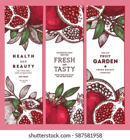 Pomegranate banner template set. Fruit vertical design collection. Engraved style illustration. Vector illustration