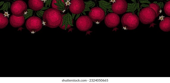 Pomegranate banner. Vintage Pomegranates border. Pomegranate plant branch with fruits. Hand drawn ink style fruit background. Pomegranate tree, ripe fruit. Rosh hashanah print. Textile, fabric texture