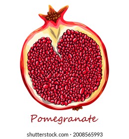 Pomegranate. Beautiful drawing of a red fruit from the garden. Juicy fresh berry. Cut in half fruit. Isolated illustration