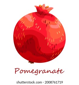 Pomegranate. Beautiful drawing of a red fruit from the garden. Juicy fresh berry. Isolated illustration