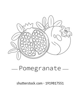Pomegranate black and white, graphic. Vector illustration.