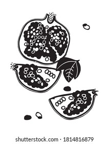 Pomegranate botanical illustration vector trendy style. Black-white sketch fruits. Hand draw ink Pomegranate and grain. All elements are isolated. Beautiful illustration fruit