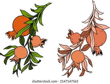 Pomegranate bouquet art vector for card, illustration, background