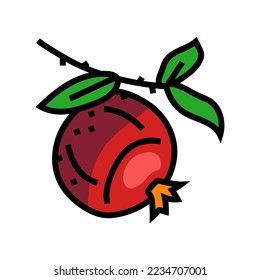 pomegranate branch leaf color icon vector. pomegranate branch leaf sign. isolated symbol illustration