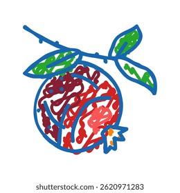 Vector de dibujo de icono de doodle de hoja de rama de granada. Muestra de hoja de rama de granada. Ilustración de símbolo aislado