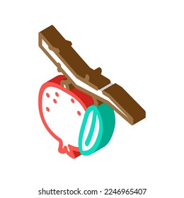pomegranate branch leaf isometric icon vector. pomegranate branch leaf sign. isolated symbol illustration