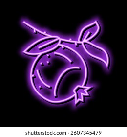 pomegranate branch leaf neon light sign vector. pomegranate branch leaf sign. isolated symbol illustration