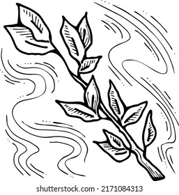 Pomegranate branch with leaves. Botanical rural decorative element garnet foliage. Spring season environment detail. Hand drawn retro vintage vector illustration, Old style line drawing.