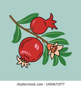 Pomegranate branch with leaves and fruits on a colored background