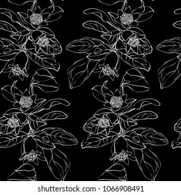 Pomegranate branch seamless pattern on black background. Floral disign vector illustration in hand drawn style. Textile prints, wrapping paper, scrapbook.