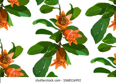 Pomegranate branch seamless pattern on white background. Floral disign vector illustration in hand drawn style. Textile prints, wrapping paper, scrapbook.