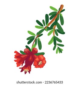 Pomegranate branches with fruits and flowers. Symbol of good luck, eternal life, love, fertility, abundance. Symbol of Israel and Azerbaijan.