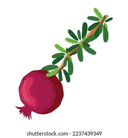 Pomegranate branches with fruits and flowers. Symbol of good luck, eternal life, love, fertility, abundance. Symbol of Israel and Azerbaijan.