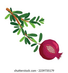 Pomegranate branches with fruits and flowers. Symbol of good luck, eternal life, love, fertility, abundance. Symbol of Israel and Azerbaijan.