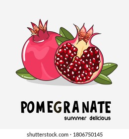 Pomegranate cartoon illustration on white background. Half of pomegranate and leafs. 