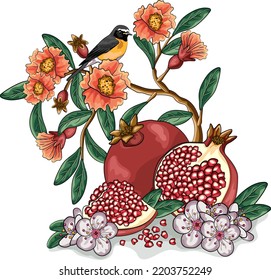 Pomegranate cartoon vector illustration. Exotic fruit with flowers and leaves hand drawn sketch. Pomegranate and bird vintage design composition isolated on white. T shirt, sublimation print 