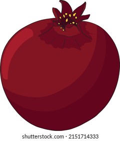 Pomegranate colored vector illustration on white background. Vegetarian food drawing. Ripe garnet fruit with seeds 