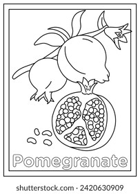 Pomegranate coloring page design in hand drawn vector 