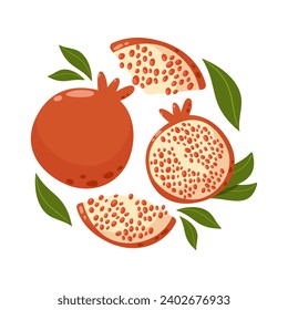 Pomegranate composition with leaves. Set of sweet whole and slices fruit. Summer vitamin vector abstract illustration for banner, poster, flyer, greeting card. Cartoon flat style.